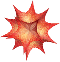 Mathematica by Wolfram Research